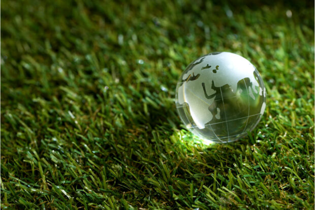A clear marble with a globe etched laying on a green lawn